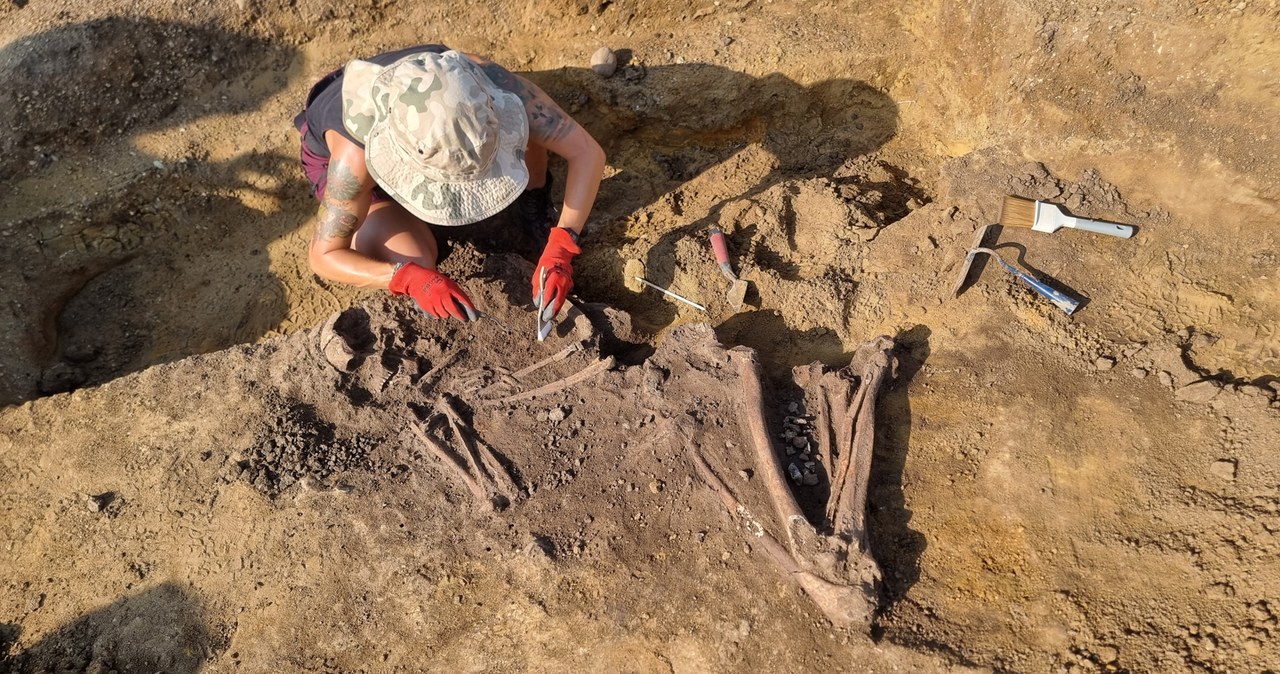 Archeologiczne skarby na trasie S8