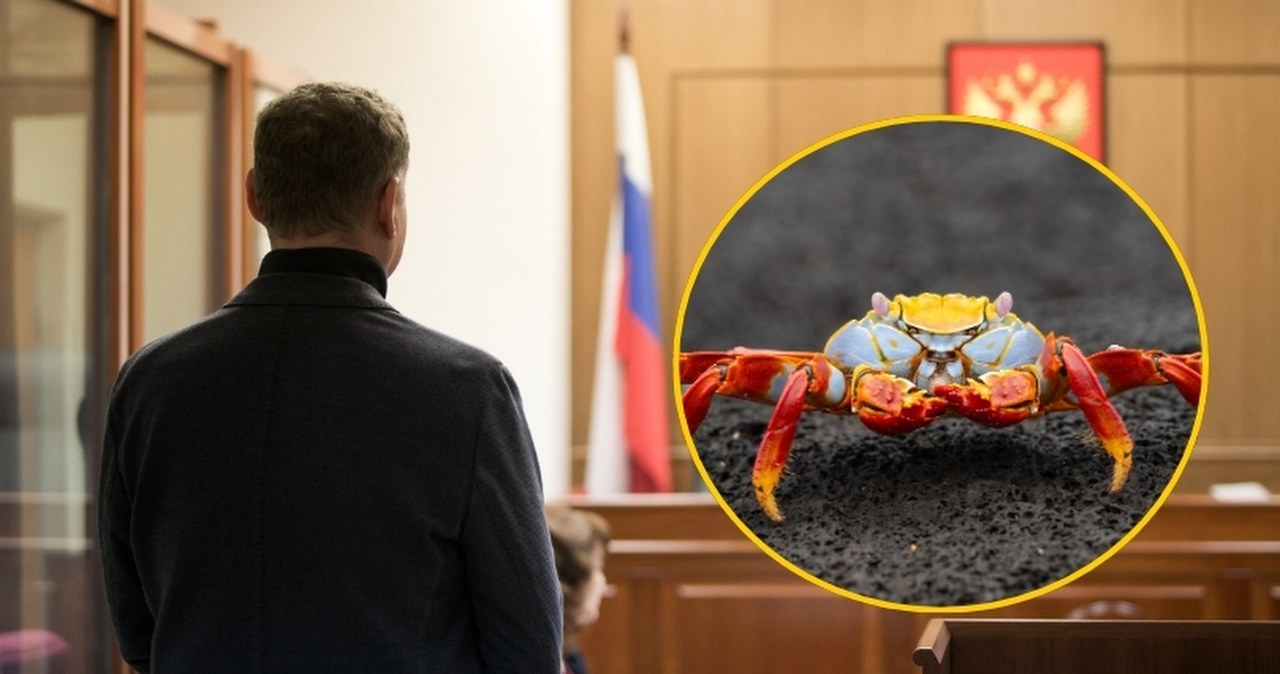 "Król krabów" skazany. Obrona przekonuje, że od dwóch lat nie żyje