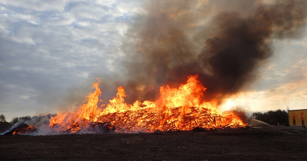 Poszło o kurczaka. Młodzi ludzie pobici i spaleni na stosie