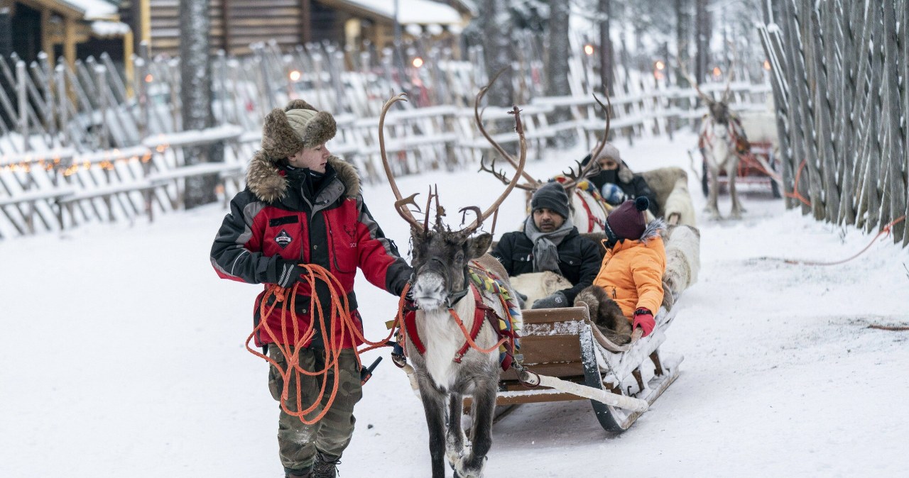 Św. Mikołaj wkrótce bez reniferów? To efekt wojny w Ukrainie