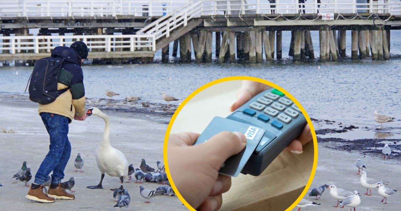 Kto wydaje najwięcej podczas urlopu? Sopot podał dane