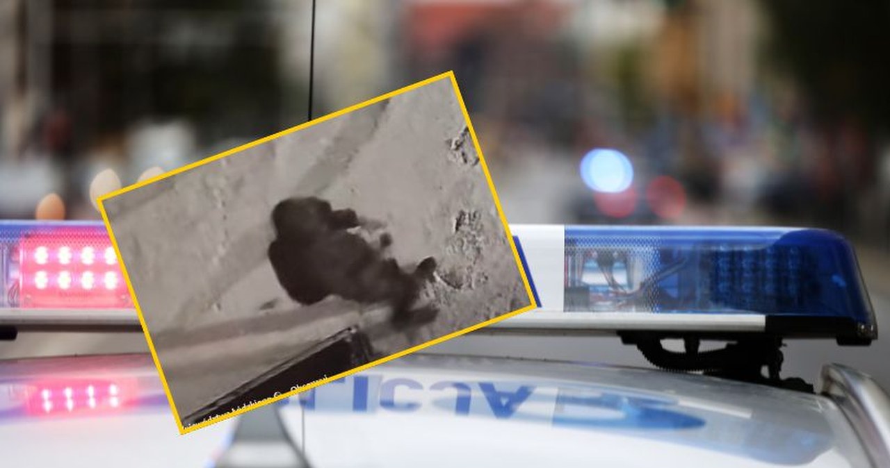 Kocięta w foliowych workach w kontenerze na śmieci. Bulwersująca historia