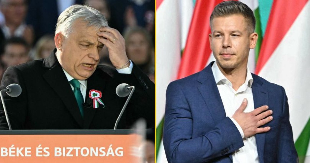 TISZA idzie jak burza. Najnowsze sondaż przed wyborami na Węgrzech