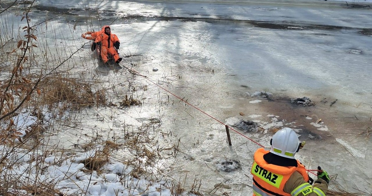 Usuwali drzewa, wpadli do rzeki. Akcja straży pożarnej w Pieniężnie