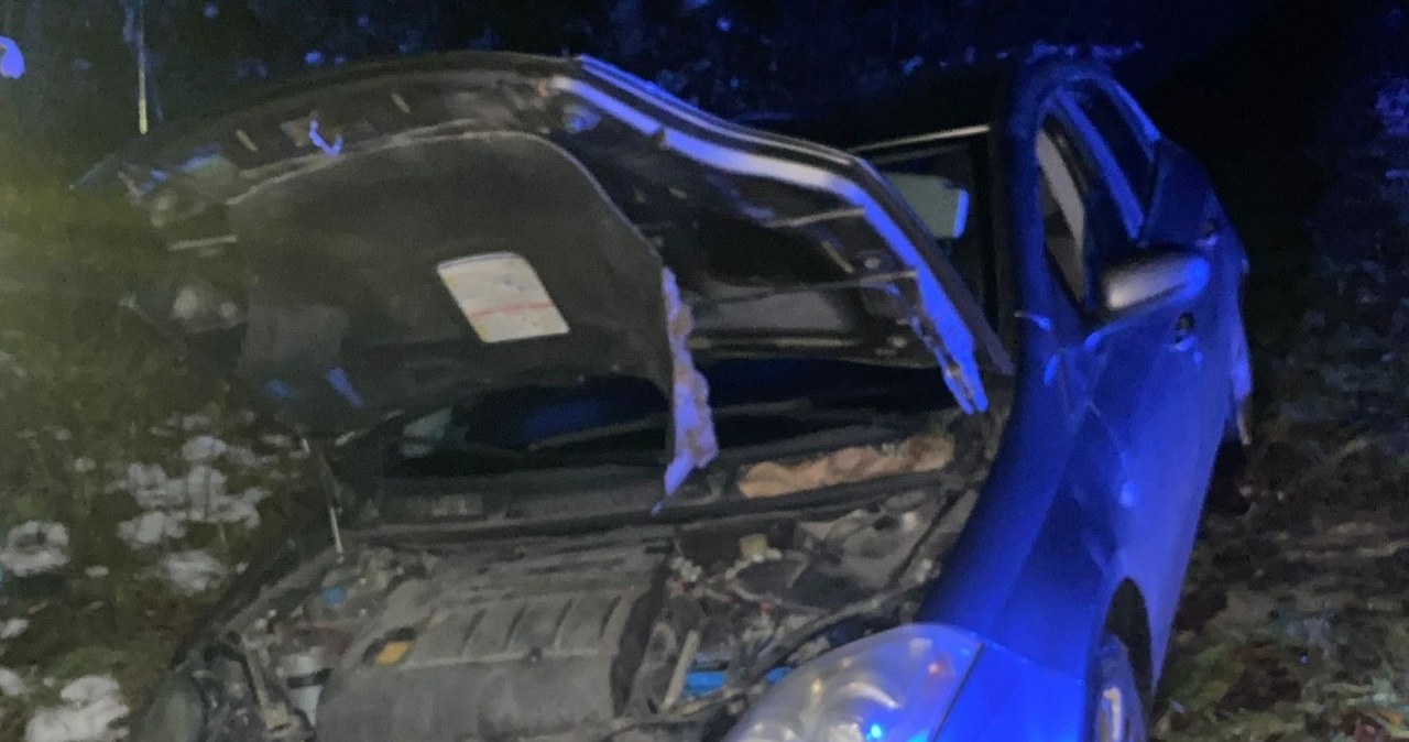 Miała ponad 3 promile i wpadła do rowu. Tłumaczyła, że wypiła jeden kieliszek