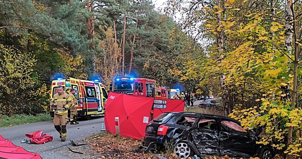 Czarny weekend na drogach. W Lubuskiem zginęła kobieta