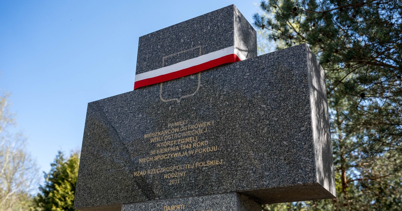 Mogiła Polaków na Wołyniu? "Szukamy zbiorowego grobu"