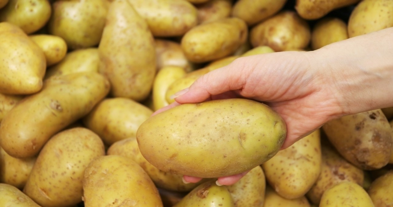 Niskie ceny wczesnych ziemniaków
