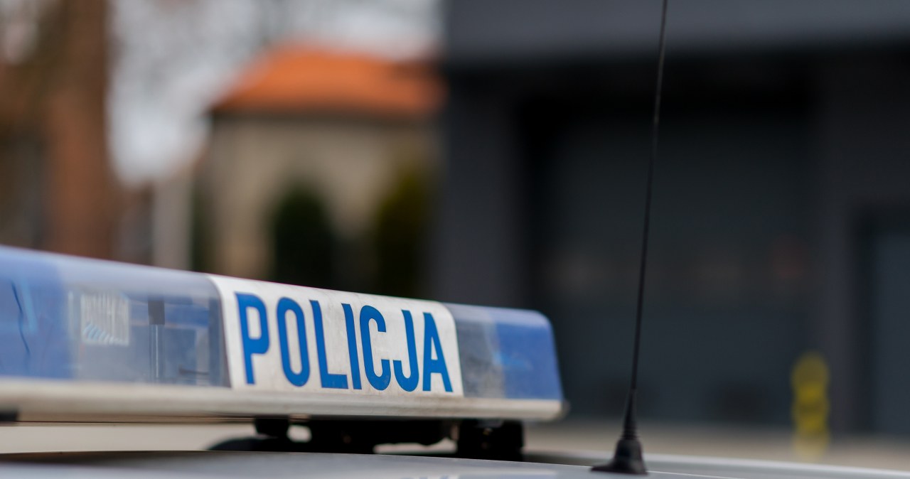 Samochód uderzył w drzewo i stanął w płomieniach. Policja znalazła trzy ciała