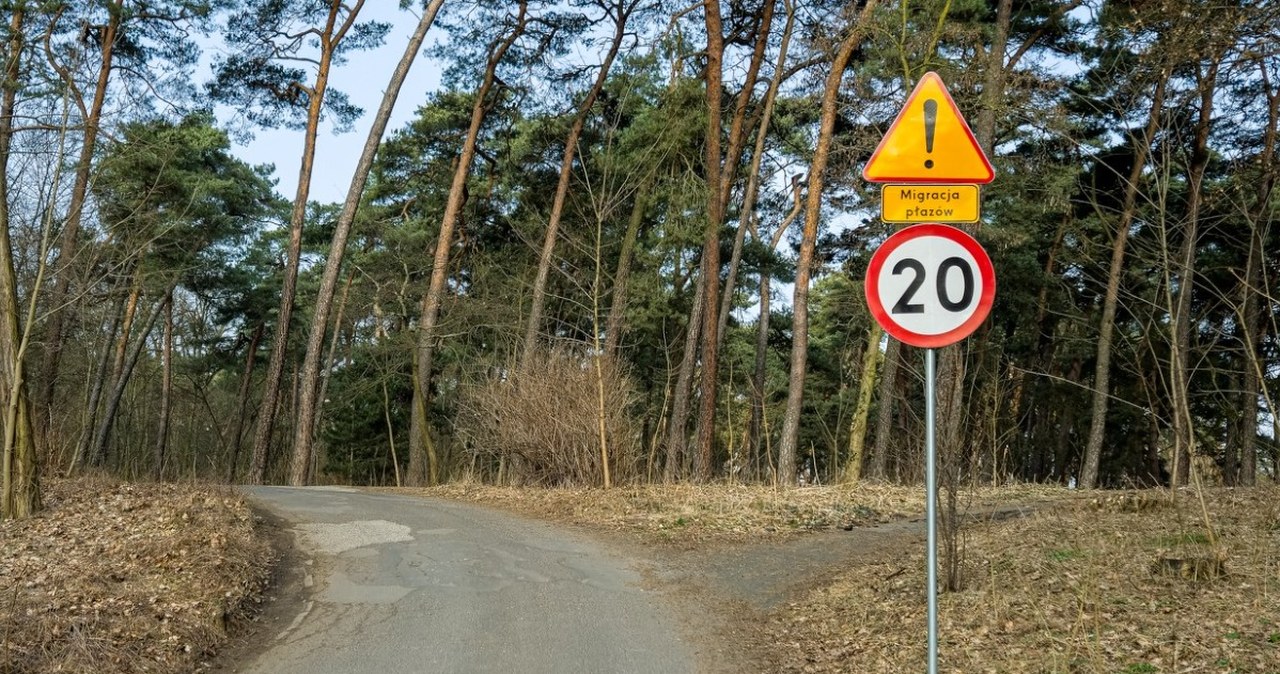 Zamknięte ulice w Poznaniu. Powód jest niecodzienny