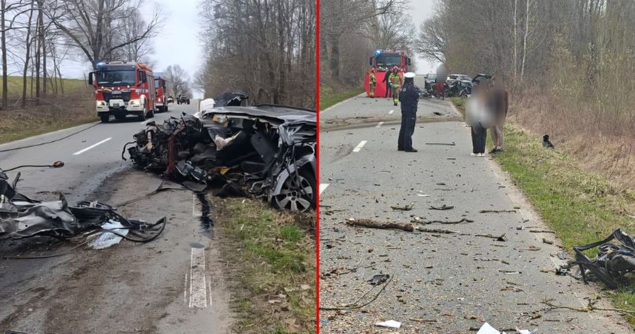 Audi z impetem uderzyło w drzewo. Kierowca zginął na miejscu