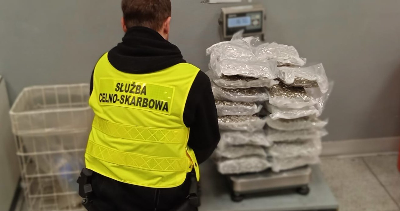 "Pamiątka" z Tajlandii. Portugalczyk wpadł na warszawskim lotnisku