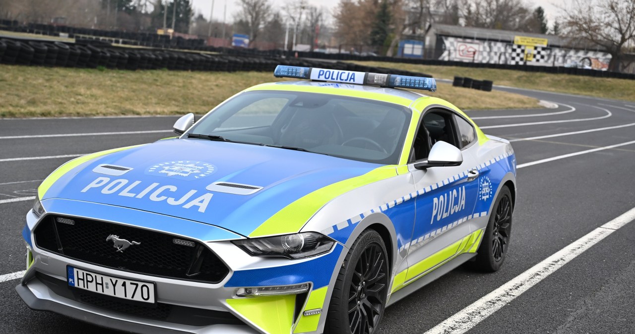 Takiego radiowozu jeszcze nie było. Skonfiskowany Mustang zasilił flotę policji