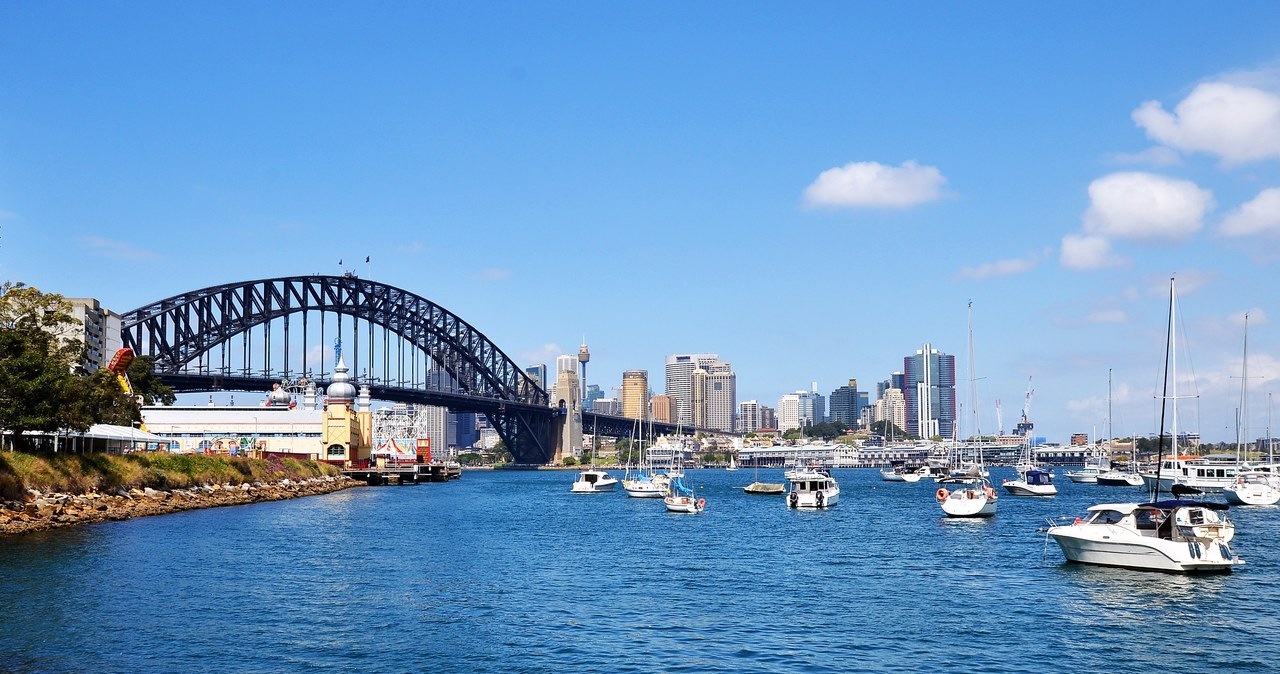 Wieloryb w centrum Sydney. Gigantyczny ssak sparaliżował ruch wodny