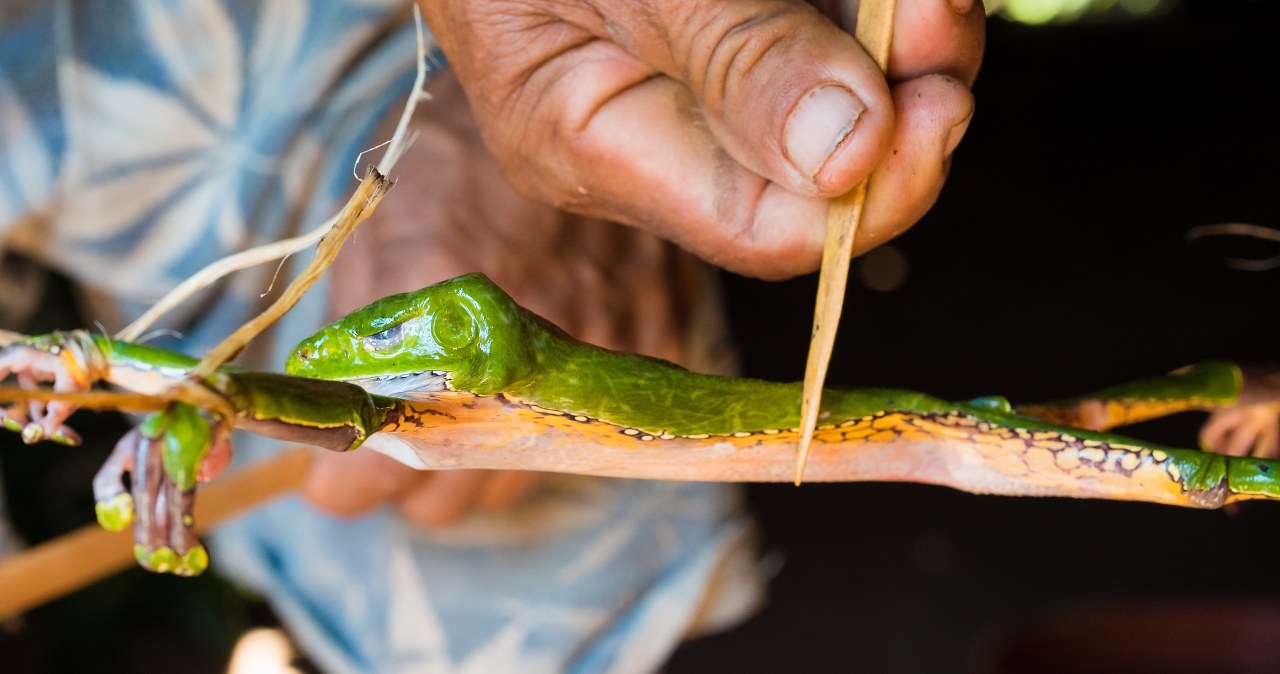 Rytuały, narkotyki i przestępstwa seksualne. Są zarzuty dla fałszywego szamana