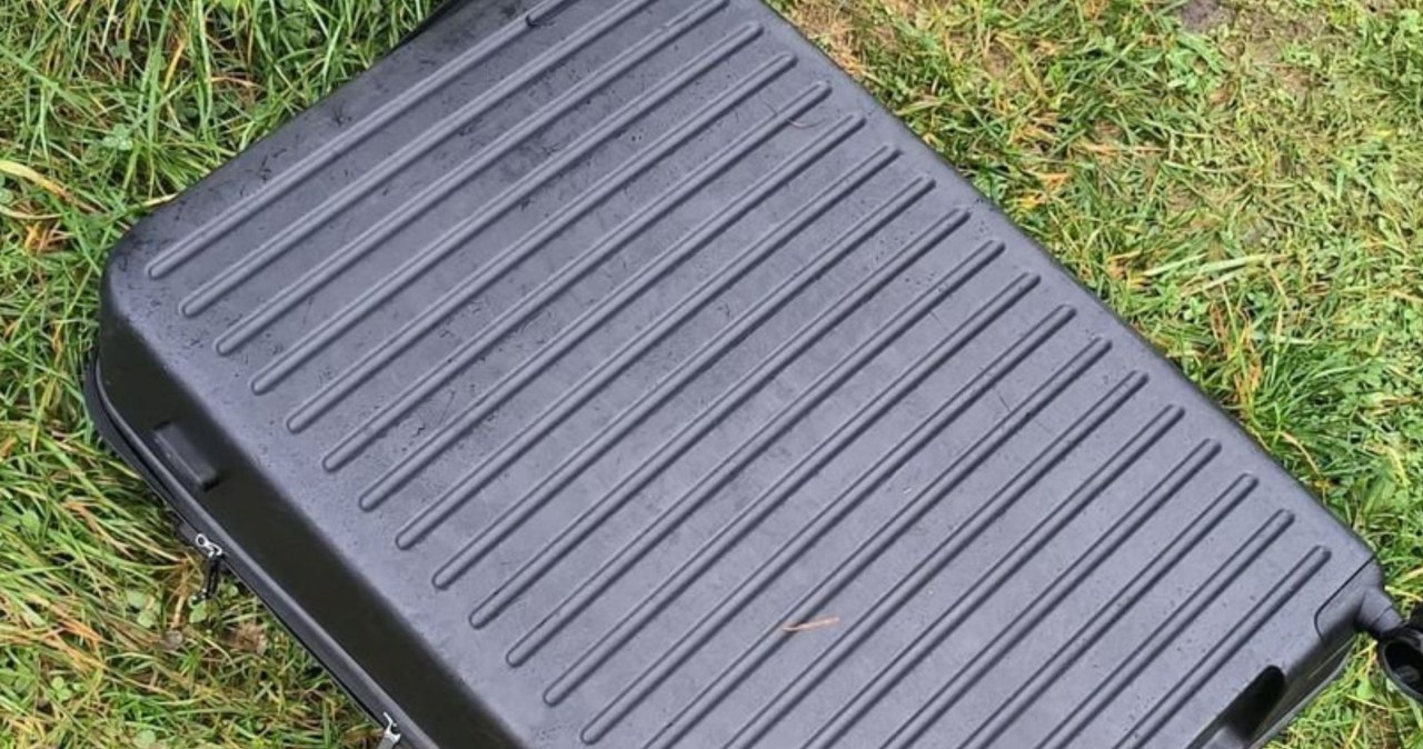 Ukradli niepozorną walizkę z pociągu. W środku "kosztowności" za 48 tys. zł