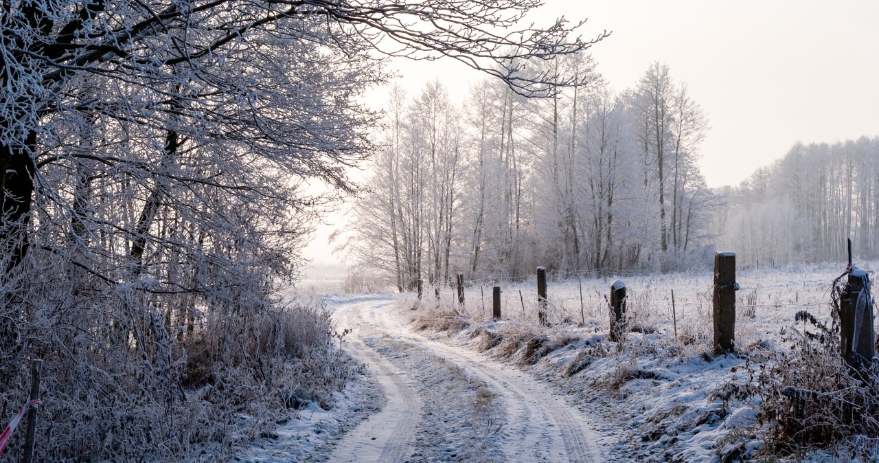 Zamarznięta kobieta na skraju lasu. Zimowy koszmar w Zachodniopomorskiem