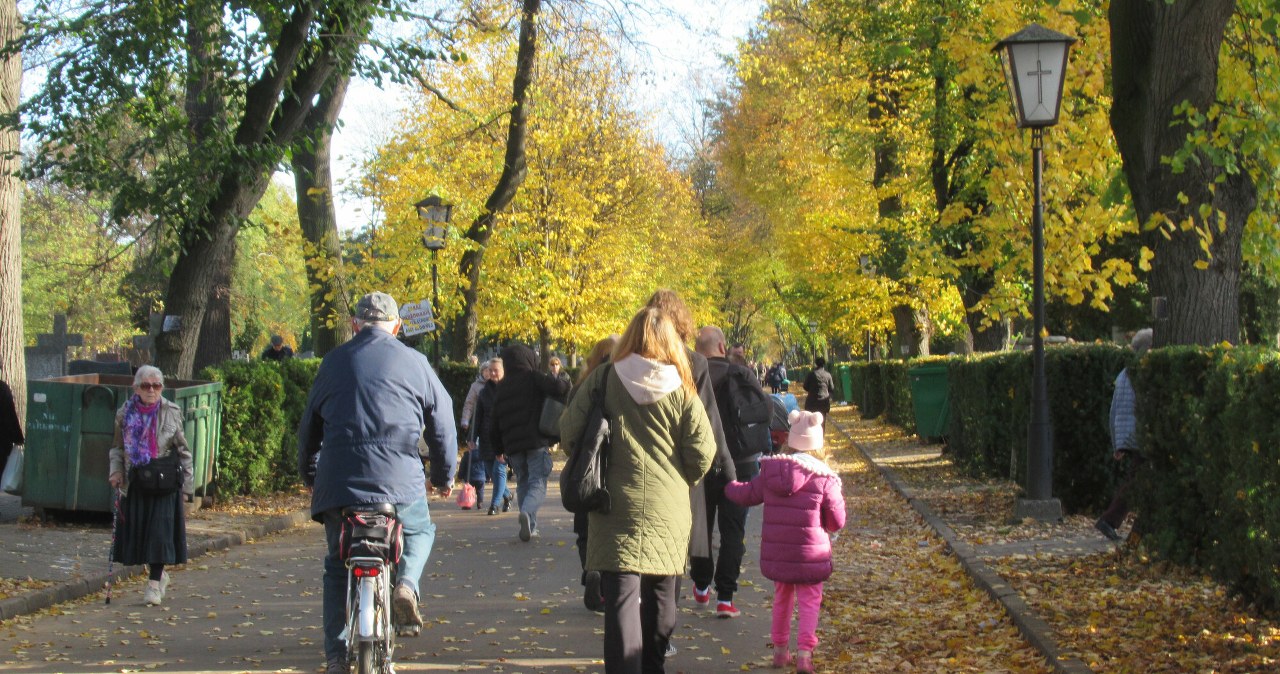 Jaki będzie ten weekend? Meteorolodzy mają dobre wiadomości