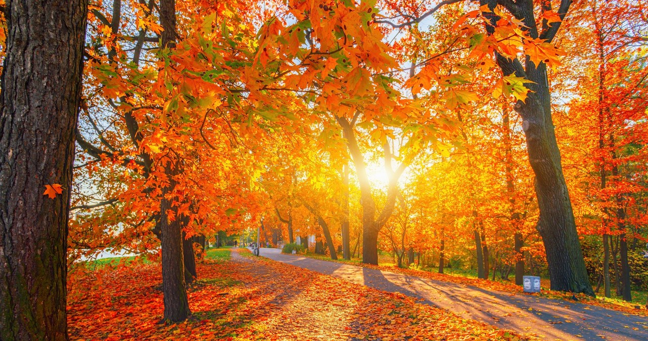 Nadchodzi babie lato. Kiedy zrobi się cieplej?