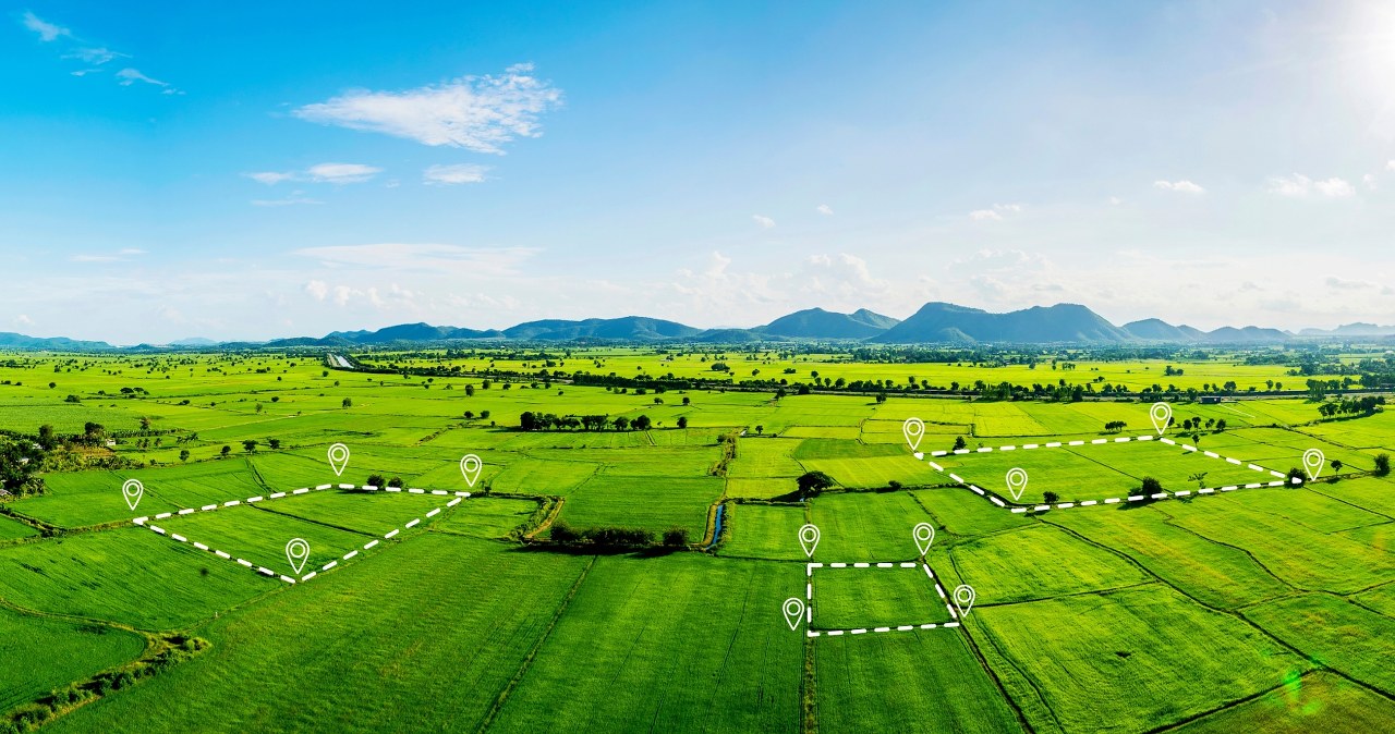 ​Jak zasiedzieć działkę sąsiada? Sąd Najwyższy wyjaśnia zasady