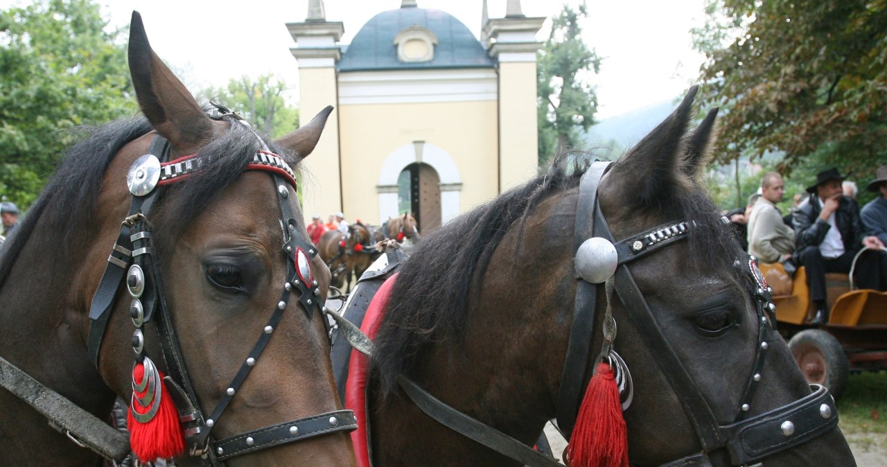 ​Poważny wypadek podczas pielgrzymki. Proboszcz ciężko ranny