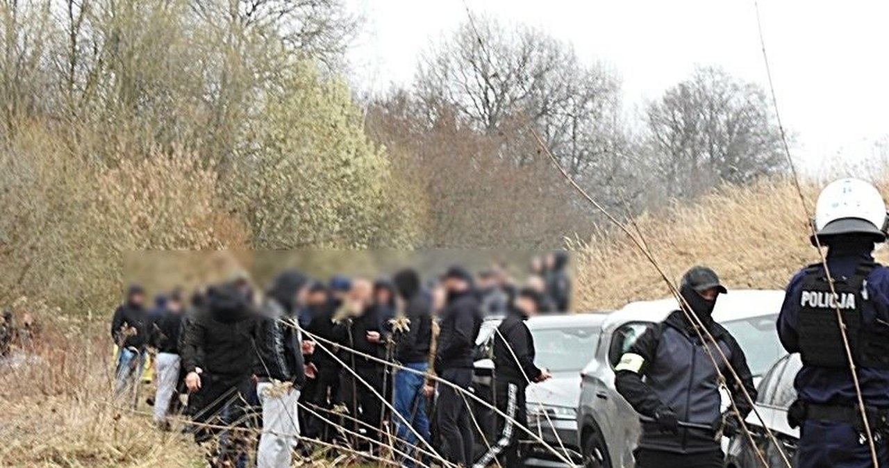 200-osobowa bitwa kiboli udaremniona. Wybrali się "na grzyby"