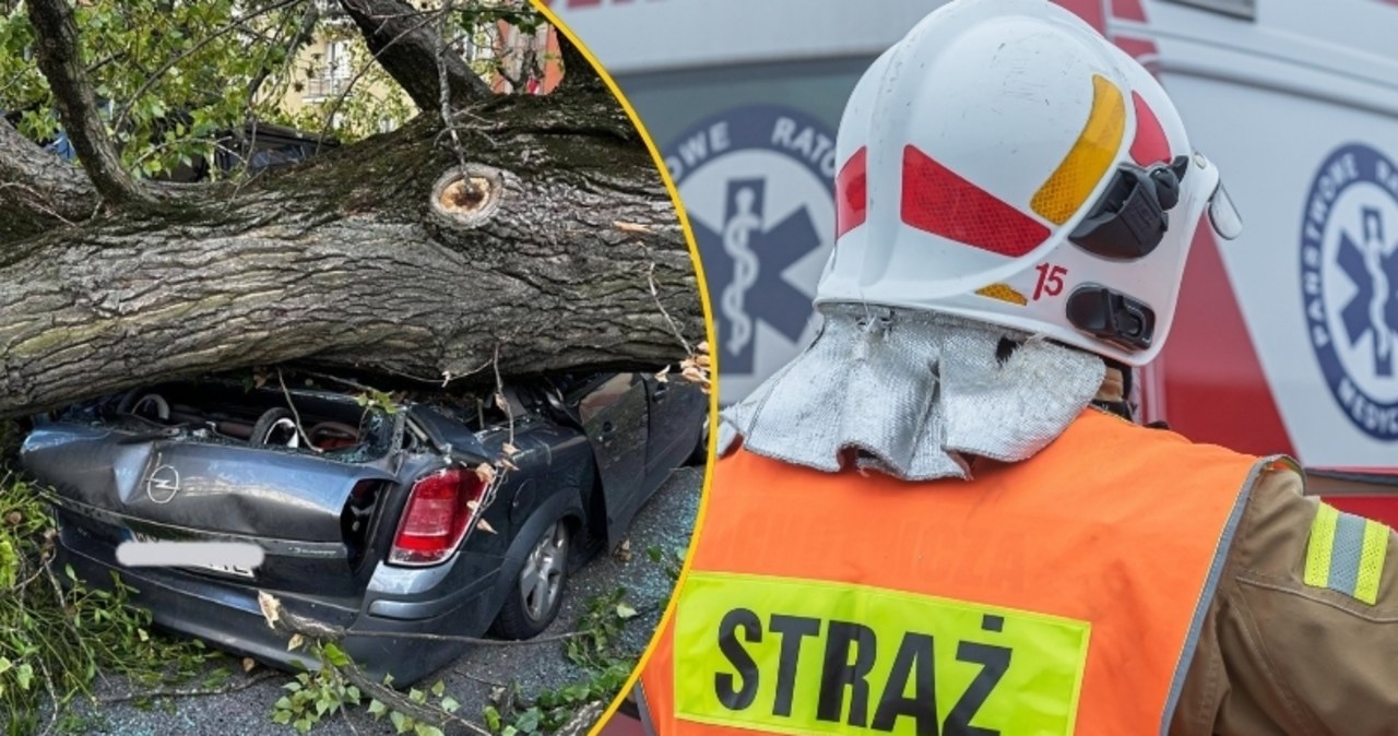 Drzewo przygniotło auta w Warszawie. W środku byli ludzie