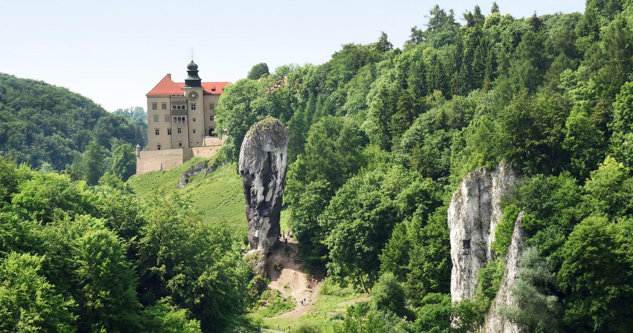 Najmniejszy park narodowy kończy 70 lat. To jedno z ulubionych miejsc Krakowian