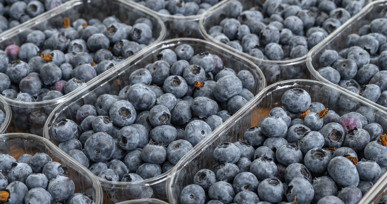 Jagody "na wagę złota". Cena może szokować