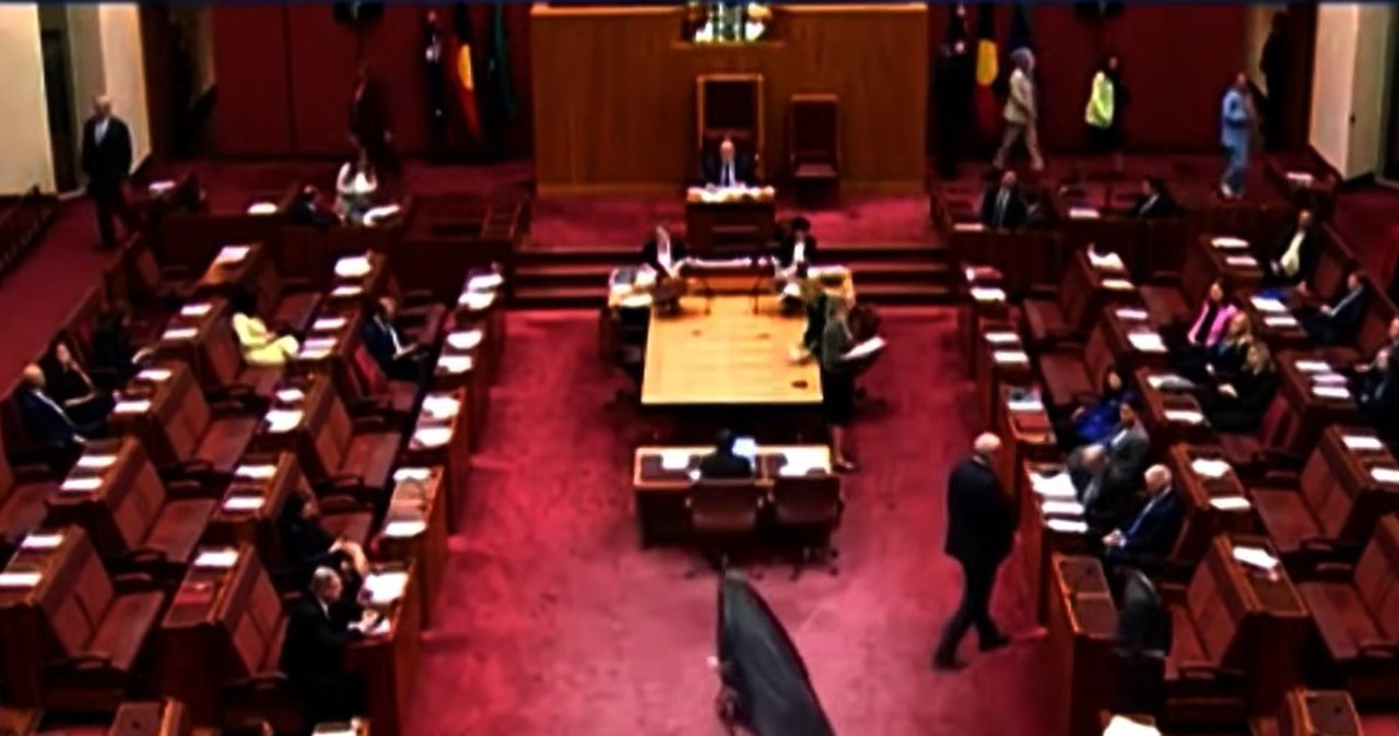 Senator w burce i szpilkach wywołała skandal. Oskarżenia o rasizm i islamofobię