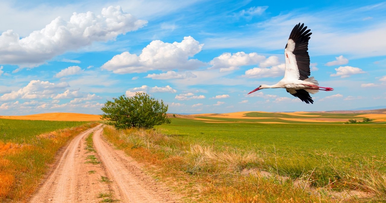 Lekki wiatr, przyjemna temperatura i bezchmurne niebo. Pogoda na weekend