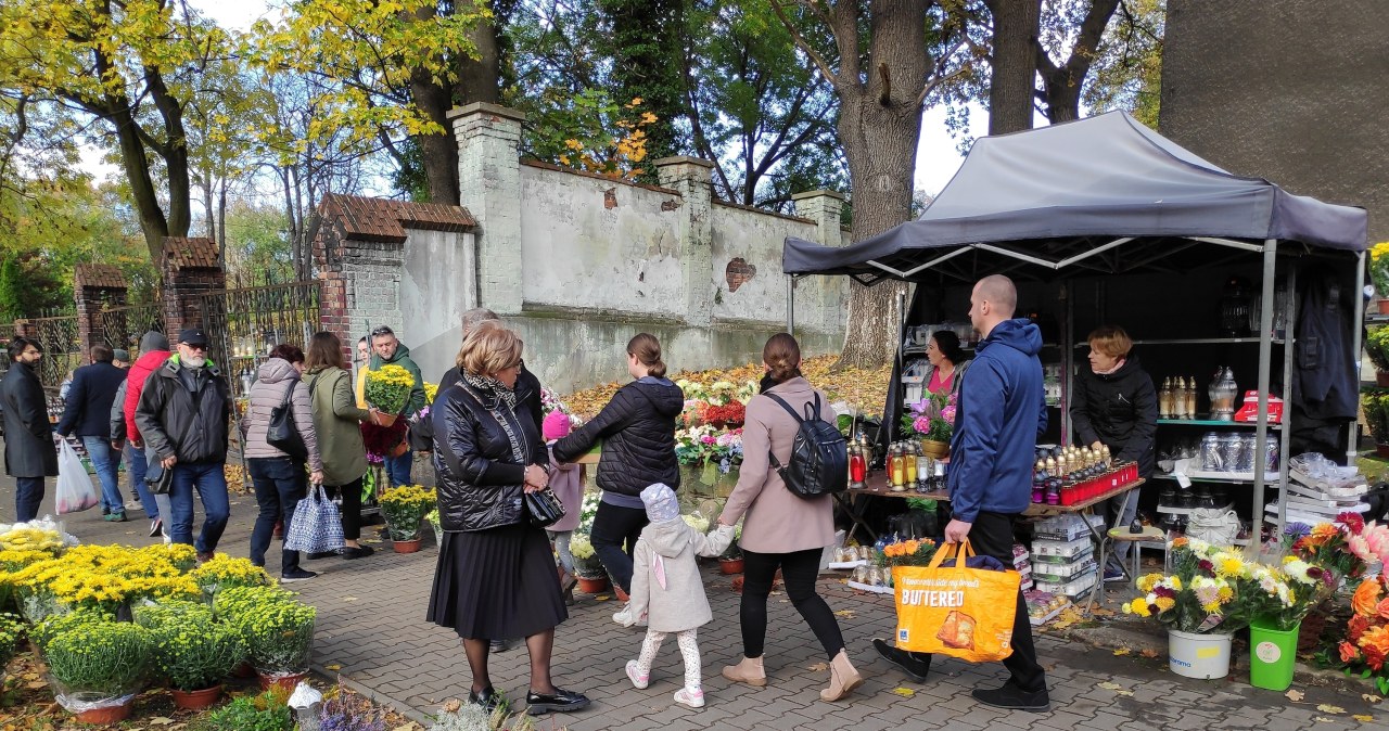Darmowa komunikacja na 1 listopada. Śląskie miasta wychodzą z ofertą