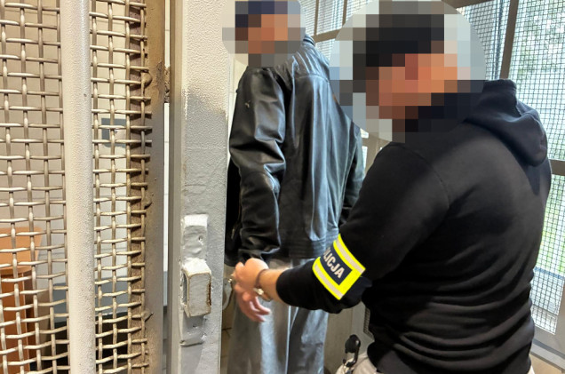 Wielka obława policji. 101 osób zatrzymanych podczas zorganizowanej akcji