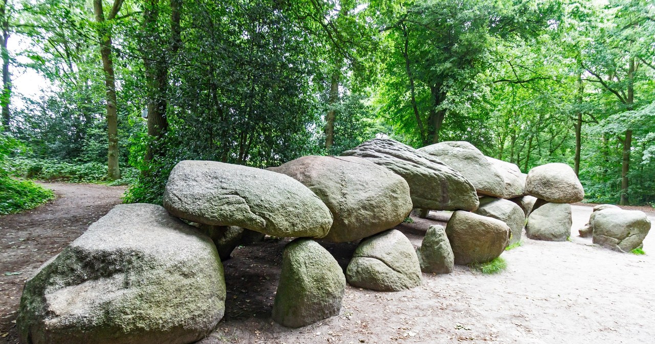 Grobowce sprzed ponad 5 tys. lat odkryte niedaleko Poznania