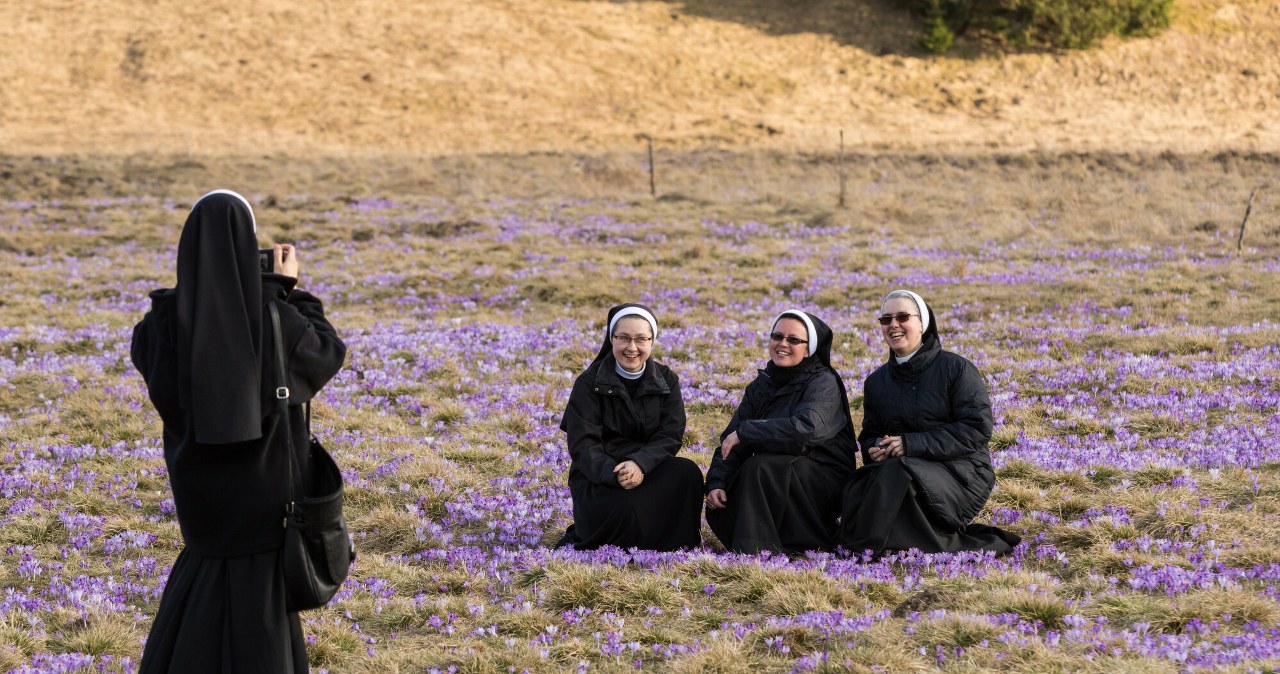 Krokusowa gorączka nadchodzi! TPN szykuje się na wiosenny najazd turystów