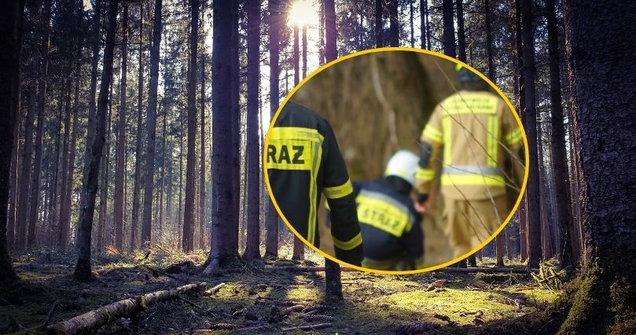 Niebezpieczne znalezisko w lesie pod Poznaniem. Setki litrów rozpuszczalników