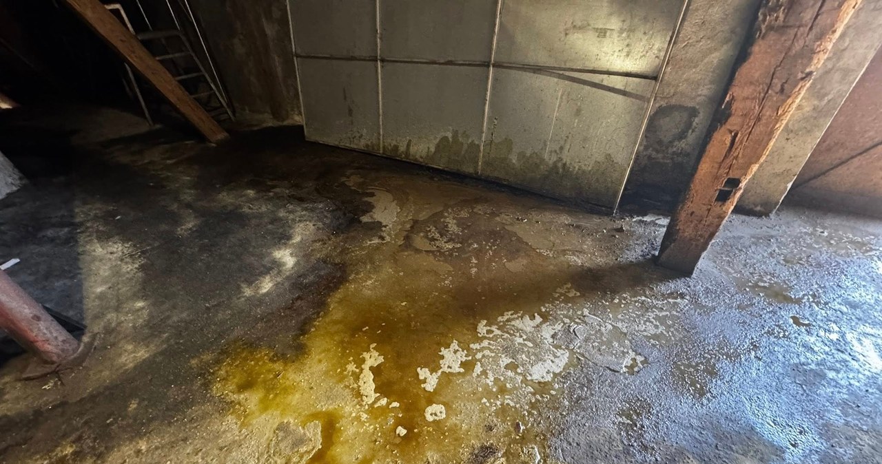 Kwas siarkowy w kanalizacji w Inowrocławiu. Sprawę bada policja