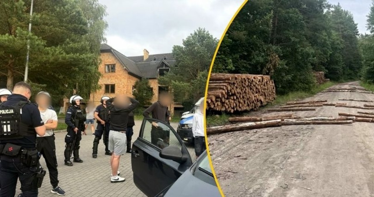 Kłody na leśnej drodze i porzucone kominiarki. Pseudokibice szykowali starcie