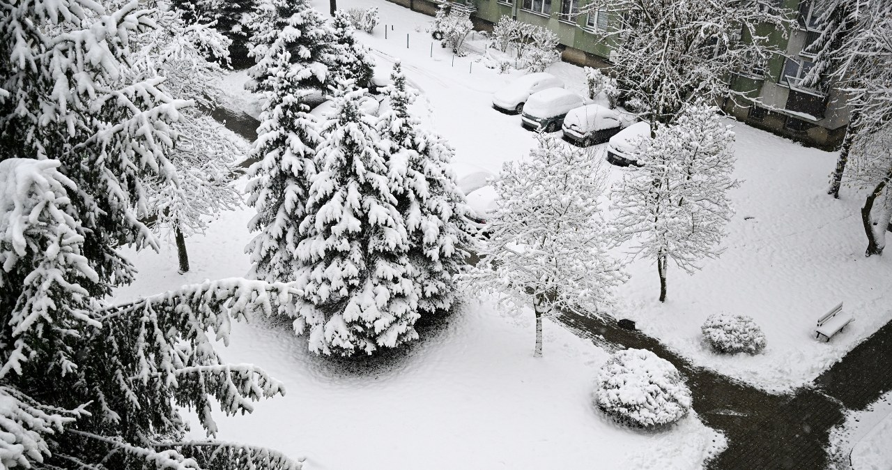 Blisko 900 interwencji strażaków. Atak zimy na Podkarpaciu