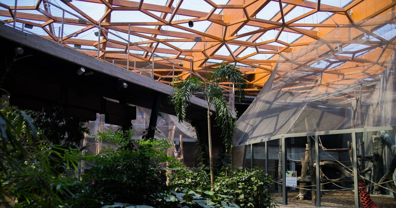 Takiego miejsca jeszcze w Polsce nie było. Łódzkie zoo szykuje przełom