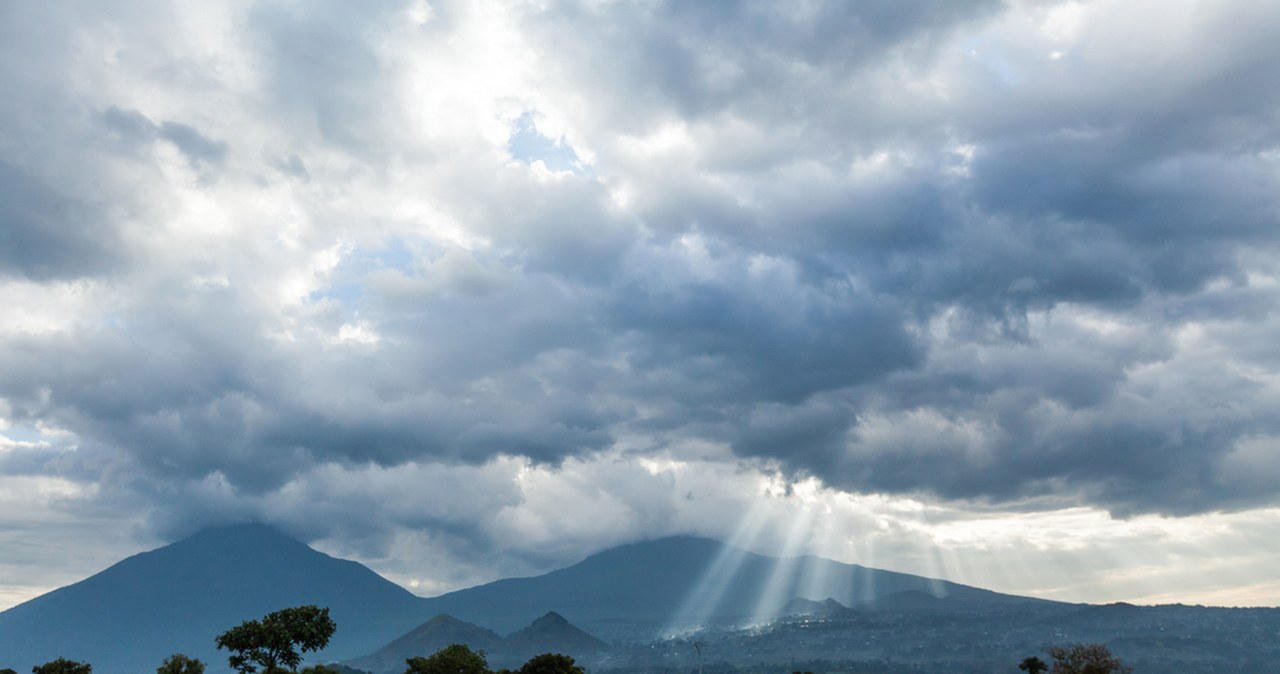 Lasy Afryki emitują więcej CO2, niż pochłaniają. Naukowcy biją na alarm