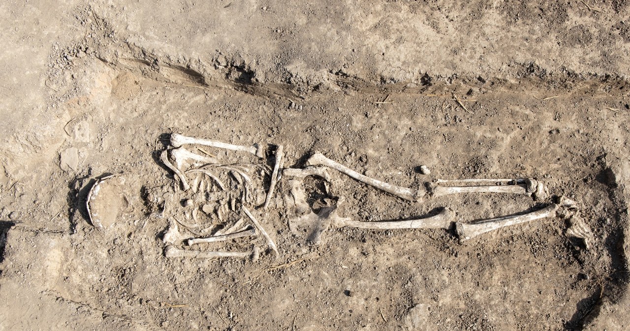 Przełomowe znalezisko. To najstarszy rodzinny pochówek w Polsce?