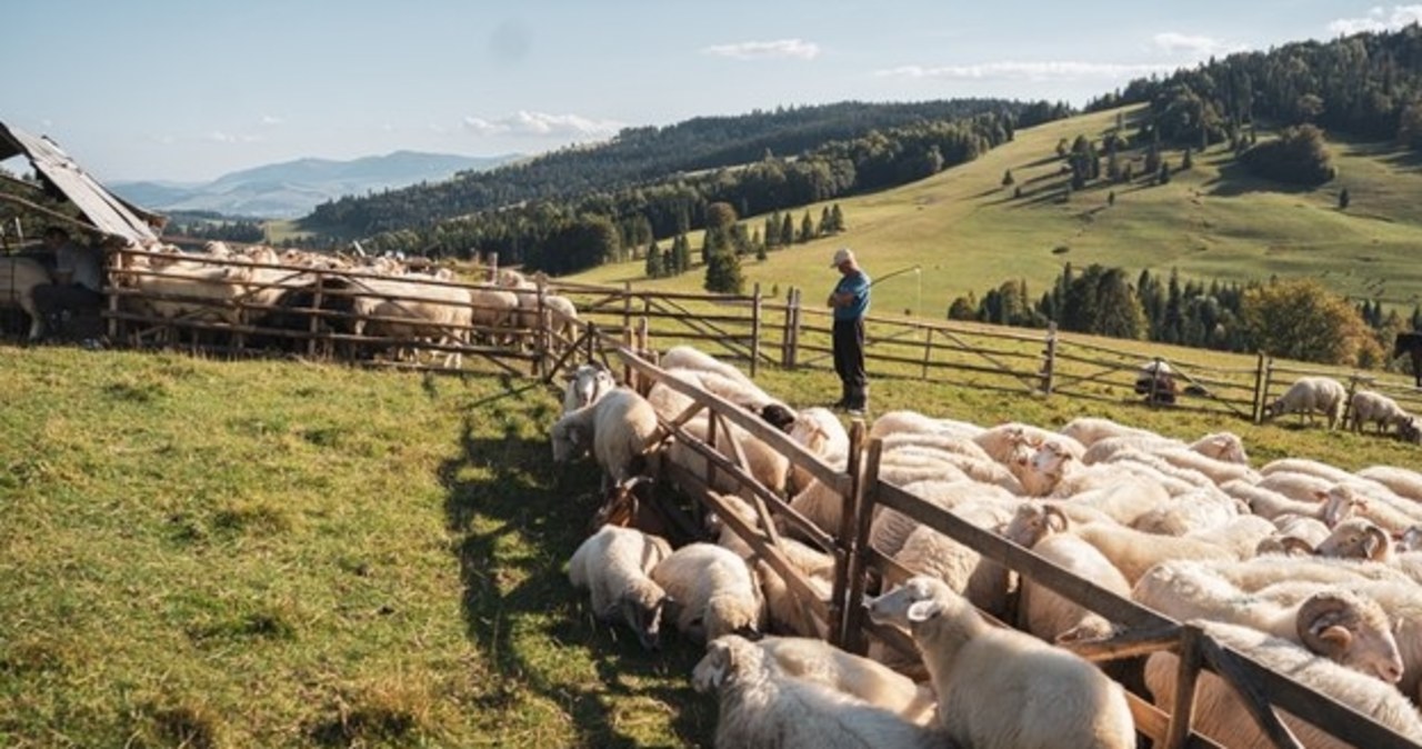 Tylko nieliczni widzieli ten świat! Zajrzyj do bacówki, gdzie czas się zatrzymał