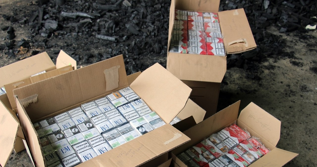 Skorumpowani celnicy chcą poddać się karze. Przymykali oczy na ogromny przemyt