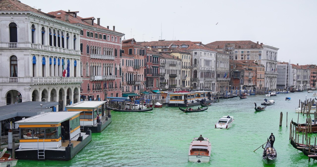 ​Zielone wody Wenecji: Greta Thunberg z zakazem wjazdu do miasta