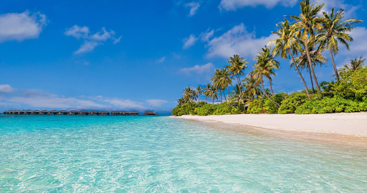 Gorący piasek i krystaliczna woda - oto lista najpiękniejszych plaż świata, które pokochali turyści!