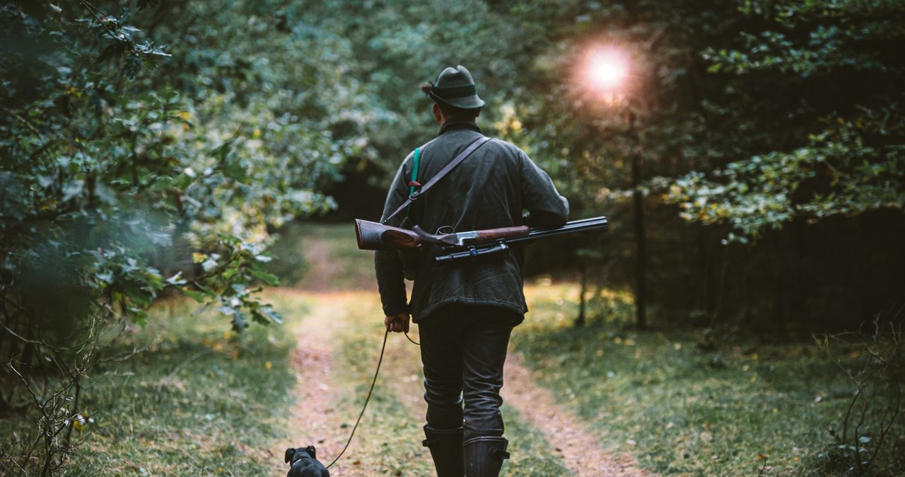Tragedia na polowaniu. Nie żyje 60-latek, pomylono go z dzikiem?