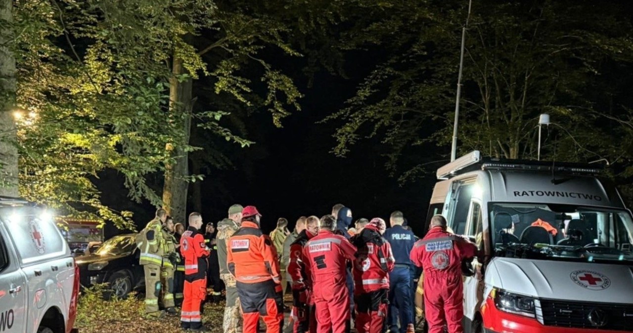 Całą noc szukali w lesie zaginionej 14-latki