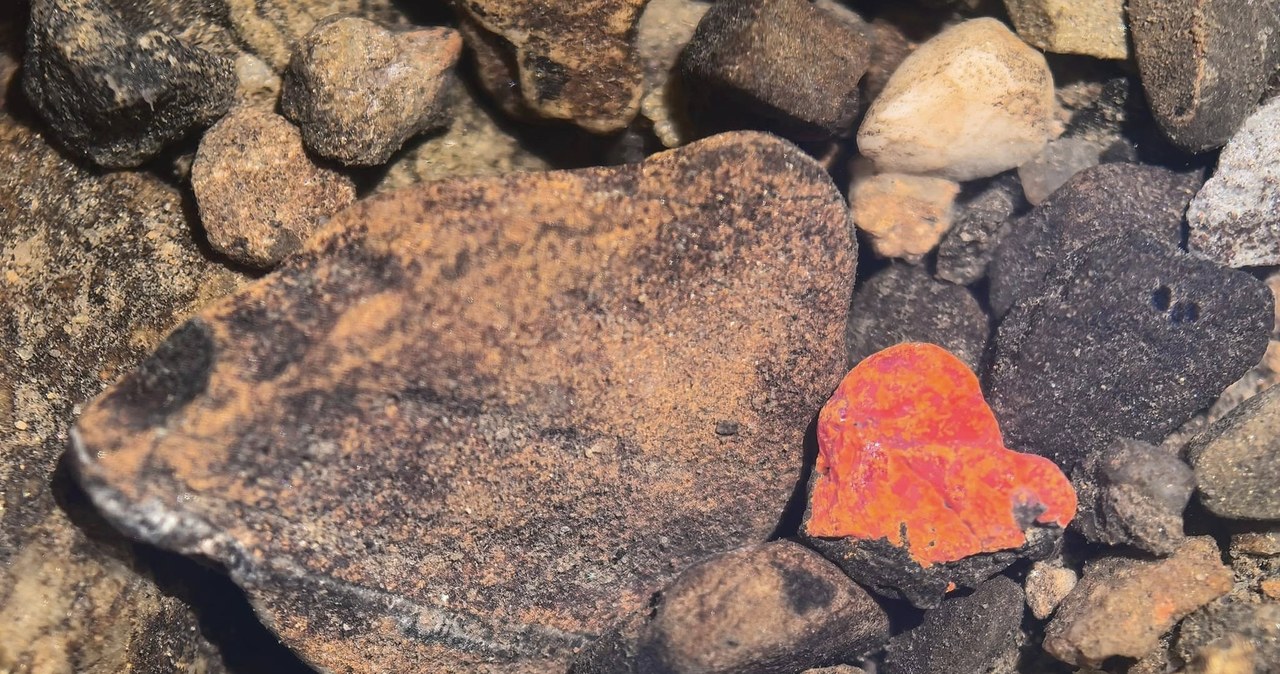 Czerwone serce wśród kamieni. W Bieszczadach odkryto rzadki minerał