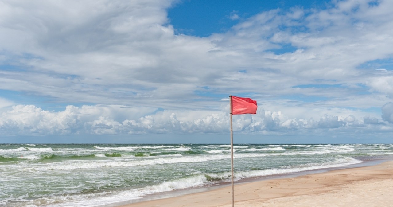 Sinice i bakterie E. coli. Czerwone flagi na kąpieliskach